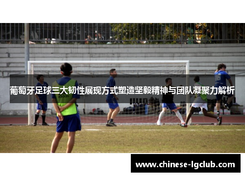葡萄牙足球三大韧性展现方式塑造坚毅精神与团队凝聚力解析
