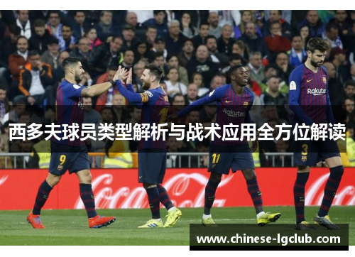西多夫球员类型解析与战术应用全方位解读