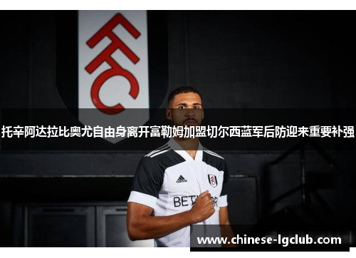 托辛阿达拉比奥尤自由身离开富勒姆加盟切尔西蓝军后防迎来重要补强