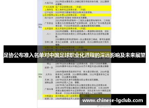 足协公布准入名单对中国足球职业化进程的深远影响及未来展望