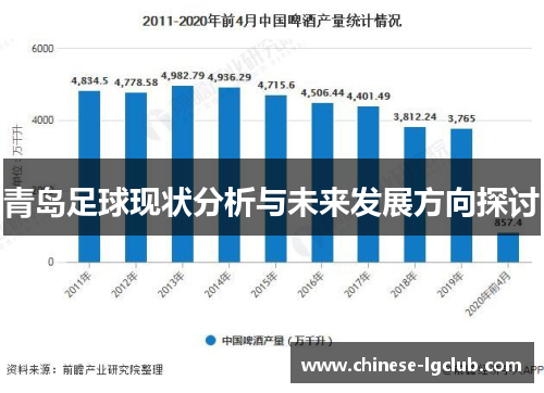 青岛足球现状分析与未来发展方向探讨