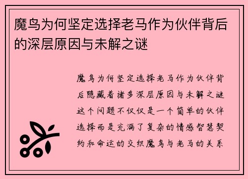 魔鸟为何坚定选择老马作为伙伴背后的深层原因与未解之谜