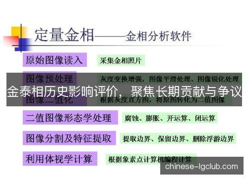 金泰相历史影响评价，聚焦长期贡献与争议